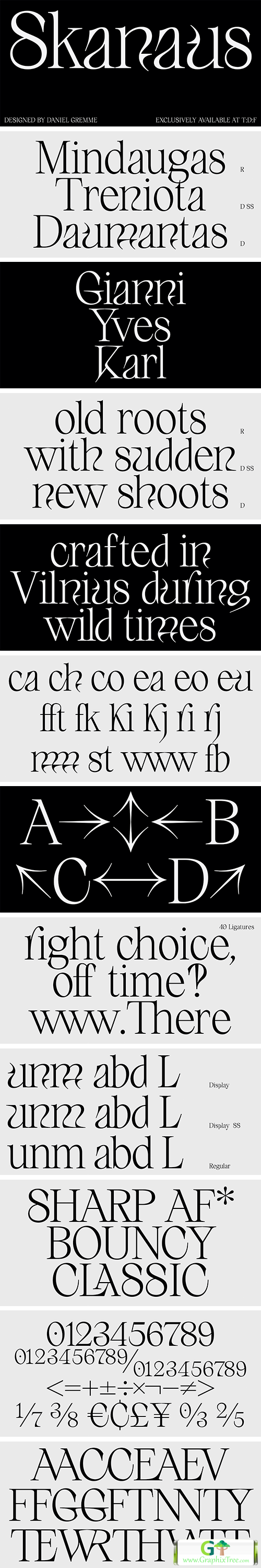 Skanaus Typeface [Font]