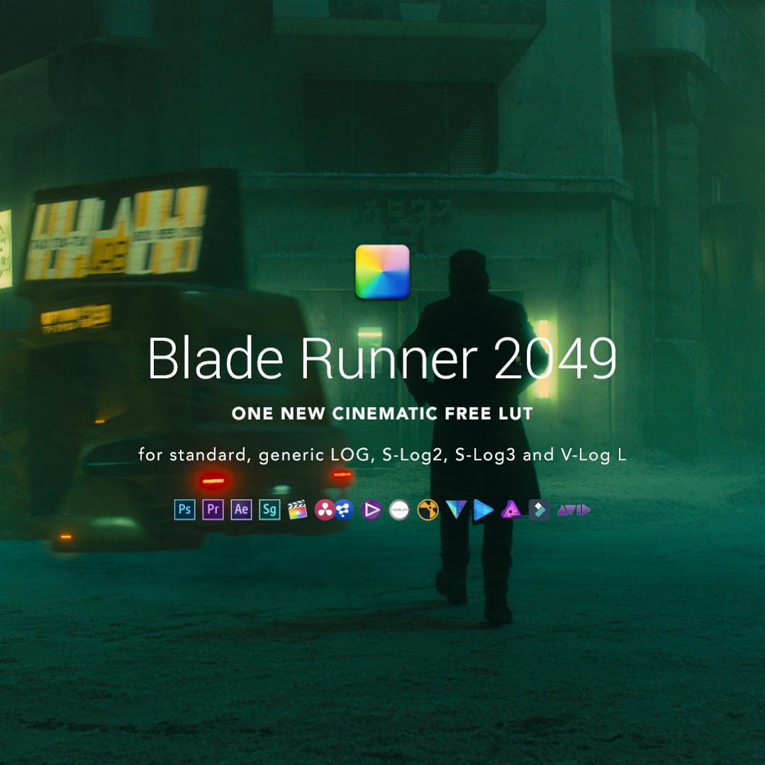 Blade Runner 2049 LUTs[IWLTBAP]